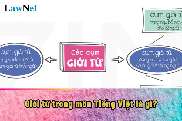 Giới từ trong môn Tiếng Việt là gì? Những đặc điểm của môn Tiếng Việt như thế nào?