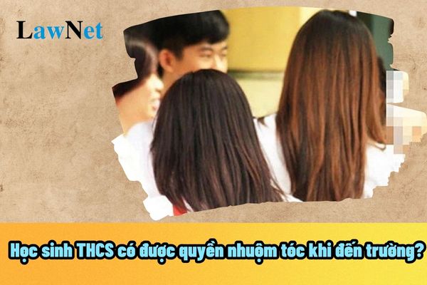 Học sinh THCS có được quyền nhuộm tóc khi đến trường? Nếu học sinh THCS cố tình nhuộm tóc khi đến trường thì có bị cấm hay không?