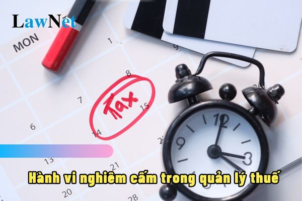 Công ty lạ lấy mã số thuế của người lao động của công ty khác để khai thuế khống có phải là hành vi nghiêm cấm?