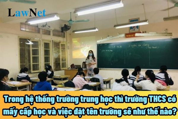 Trong hệ thống trường trung học thì trường THCS có mấy cấp học và việc đặt tên trường sẽ như thế nào?