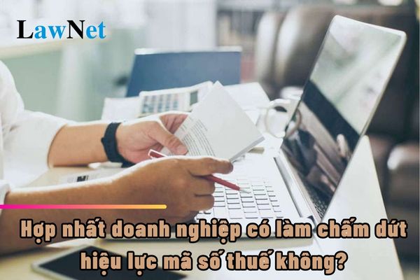 Hợp nhất doanh nghiệp có làm chấm dứt hiệu lực mã số thuế không?