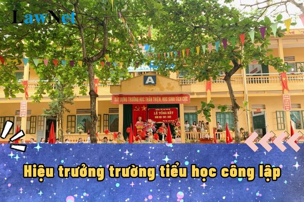 Mẫu báo cáo thành tích cá nhân của Hiệu trưởng trường tiểu học công lập là mẫu nào?