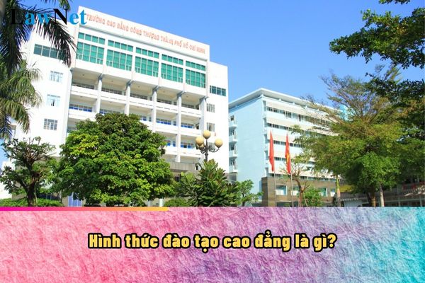 Hình thức đào tạo cao đẳng là gì? Trường cao đẳng có mấy loại hình?