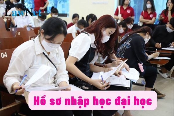 Hồ sơ nhập học đại học 2024-2025 cần có gì?