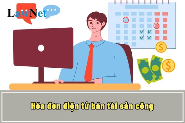 Hóa đơn điện tử bán tài sản công được sử dụng khi nào?