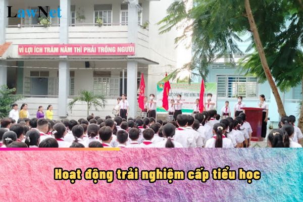 Hoạt động trải nghiệm cấp tiểu học từ lớp 2 đến lớp 5 bao gồm những nội dung gì?