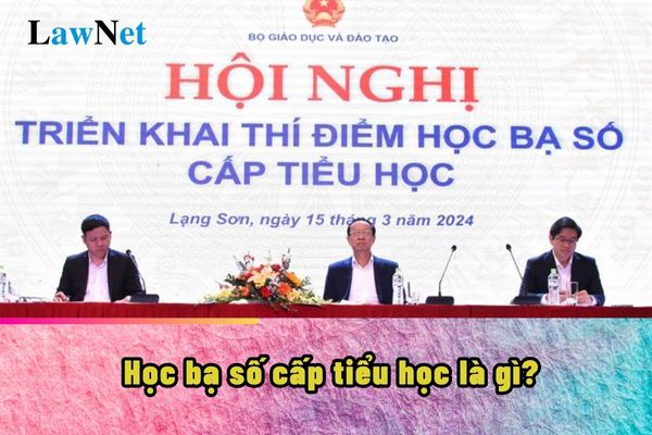 Học bạ số cấp tiểu học là gì? Triển khai Học bạ số cấp tiểu học năm học 2024-2025?