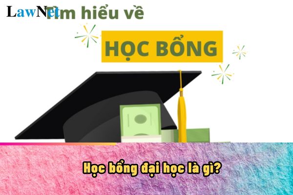 Học bổng đại học là gì? Mẫu đơn đề nghị cấp học bổng khuyến khích ra sao?