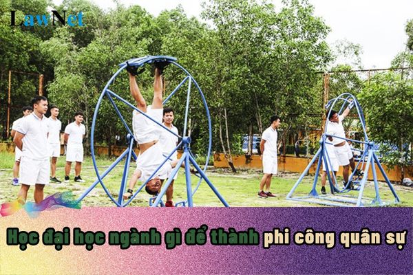 Phi công quân sự là gì? Học đại học ngành gì để thành phi công quân sự?