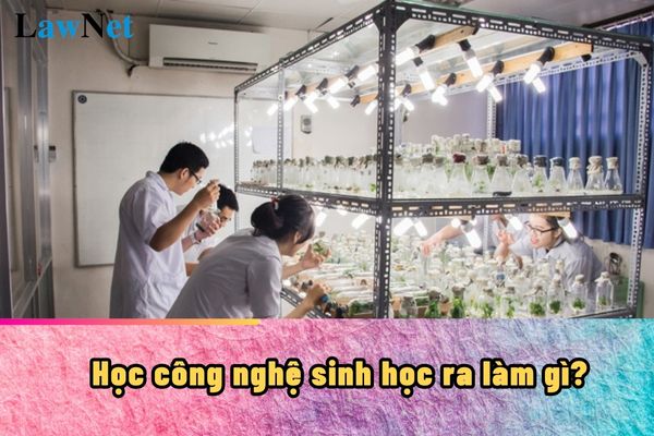 Học công nghệ sinh học ra làm gì?