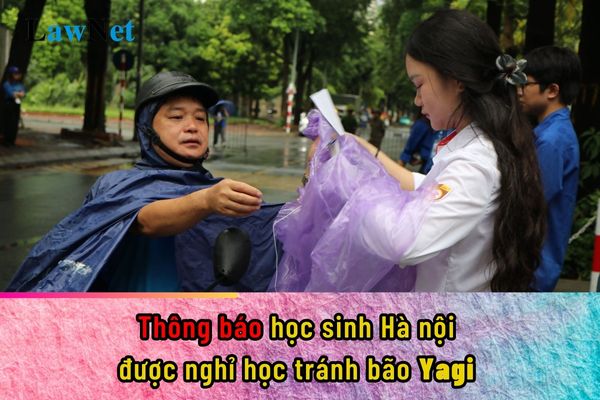 Thông báo nghỉ học tránh bão Yagi cho học sinh Hà Nội từ ngày 7/9?