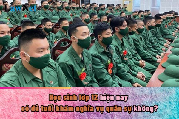 Học sinh lớp 12 hiện nay có đủ tuổi khám nghĩa vụ quân sự không? Học sinh lớp 12 trốn đăng ký nghĩa vụ quân sự bị xử phạt như thế nào?