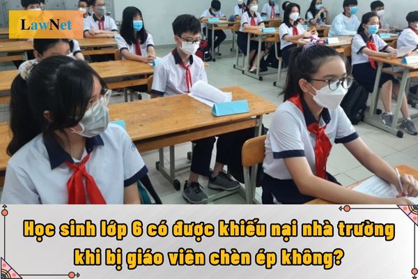 Học sinh lớp 6 là mấy tuổi? Học sinh lớp 6 có được khiếu nại nhà trường khi bị giáo viên chèn ép không?