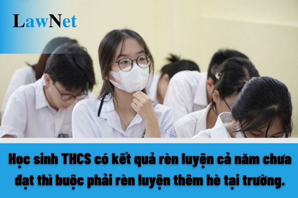 Học sinh trung học cơ sở