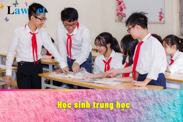 Học sinh trung học xin học lại có bị giới hạn độ tuổi không?