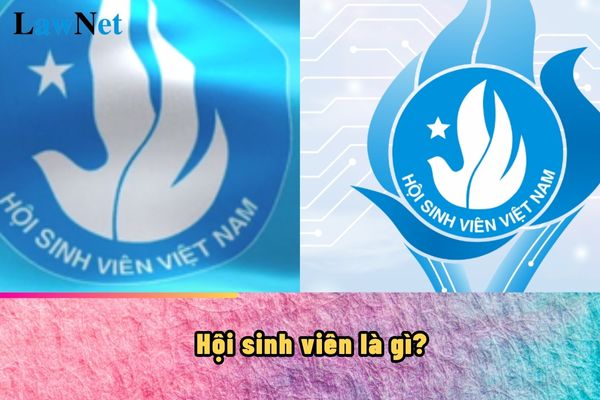 Hội sinh viên là gì? Thành viên của Hội có những ai?