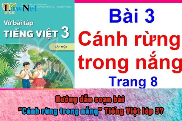 Hướng dẫn soạn bài Cánh rừng trong nắng Tiếng Việt lớp 3?