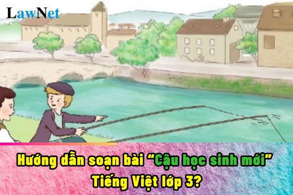 Hướng dẫn soạn bài Cậu học sinh mới Tiếng Việt lớp 3? Học sinh lớp 3 được đánh giá thống nhất theo Thông tư 27 đúng không?