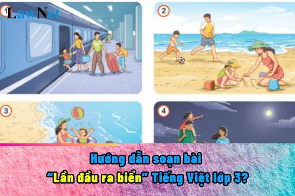 Hướng dẫn soạn bài Lần đầu ra biển Tiếng Việt lớp 3?