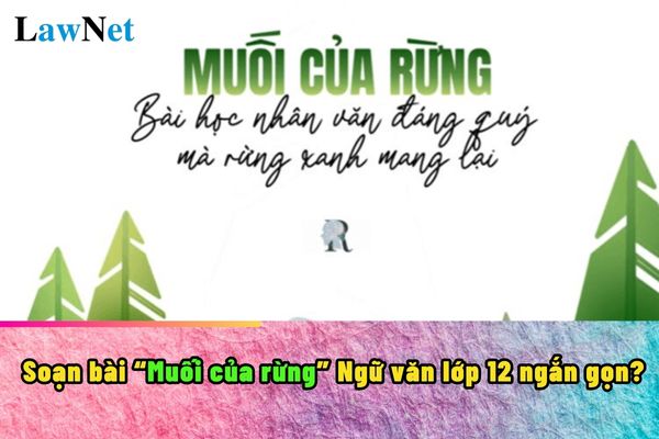 Soạn bài muối của rừng Ngữ văn lớp 12 ngắn gọn? Quy định về các loại ngữ liệu sử dụng cho môn Ngữ văn lớp 12?