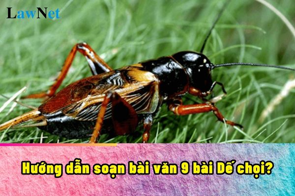 Hướng dẫn soạn bài văn 9 bài Dế chọi? Việc đánh giá thường xuyên môn Ngữ văn lớp 9 thực hiện qua hình thức nào?