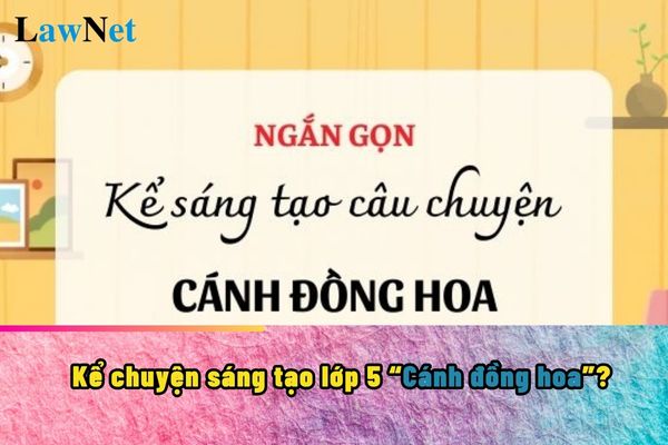 Kể chuyện sáng tạo Cánh đồng hoa