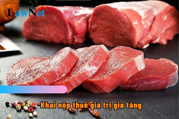 Có phải khai nộp thuế giá trị gia tăng khi nhập khẩu thịt bò tươi nhập khẩu thịt bò tươi cho khách hàng cá nhân tiêu dùng?