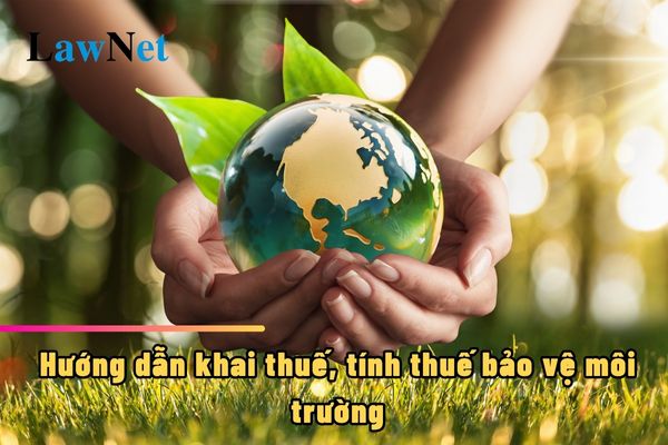 Hướng dẫn khai thuế, tính thuế bảo vệ môi trường đối với hàng hóa nhập khẩu ủy thác ra sao?