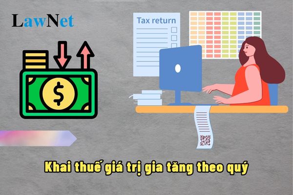 Người nộp thuế mới hoạt động có được chọn khai thuế giá trị gia tăng theo quý không?