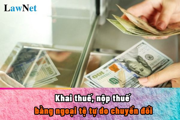 Các trường hợp khai thuế, nộp thuế bằng ngoại tệ tự do chuyển đổi ra sao?