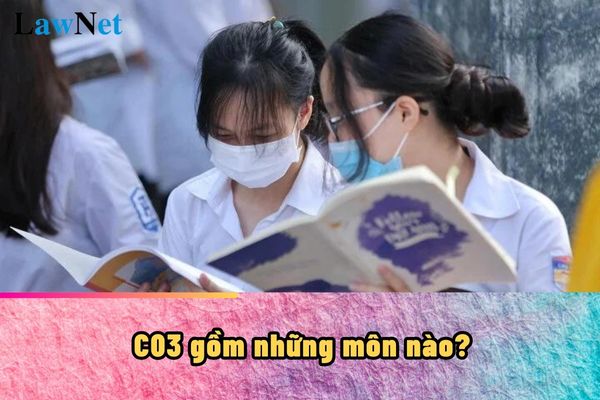 Which subjects are included in the C03 university entrance exam?