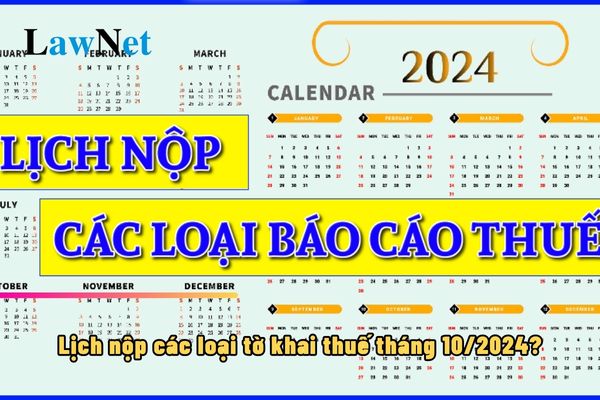 Lịch nộp các loại tờ khai thuế tháng 10/2024? Chậm nộp các loại tờ khai thuế 40 ngày thì bị phạt bao nhiêu tiền?