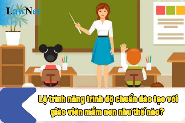 Lộ trình nâng trình độ chuẩn đào tạo với giáo viên mầm non như thế nào?