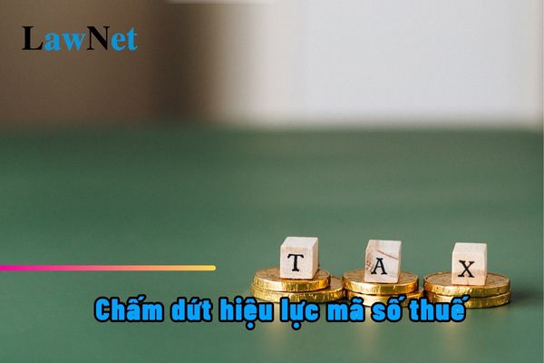 Có ngừng sử dụng hóa đơn điện tử khi cá nhân kinh doanh chấm dứt hiệu lực mã số thuế?