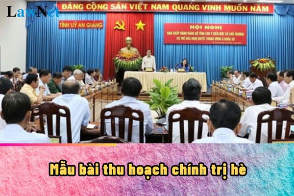 Mẫu bài thu hoạch chính trị hè 2024