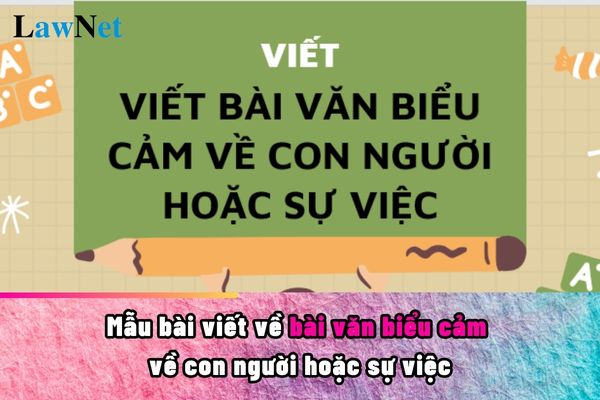 Mẫu bài viết về bài văn biểu cảm về con người hoặc sự việc? Danh mục sách giáo khoa lớp 7 năm học 2024 - 2025?