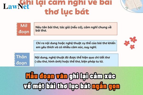 Mẫu đoạn văn ghi lại cảm xúc về một bài thơ lục bát ngắn gọn? Hình thức rèn luyện trong kì nghỉ hè của học sinh lớp 6 do ai quy định?