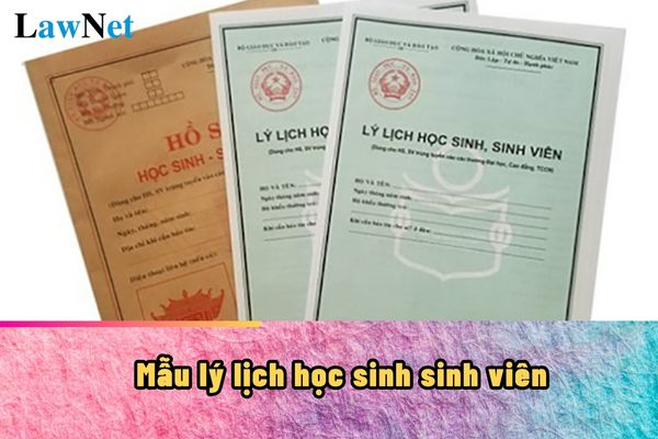 Mẫu lý lịch học sinh sinh viên 2024 ra sao?