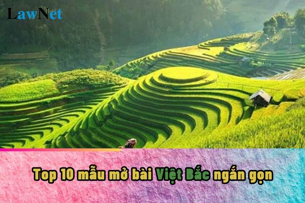 Top 10 mẫu mở bài Việt Bắc ngắn gọn? Học sinh lớp 12 có cần phải giữ gìn và phát triển tiếng Việt?