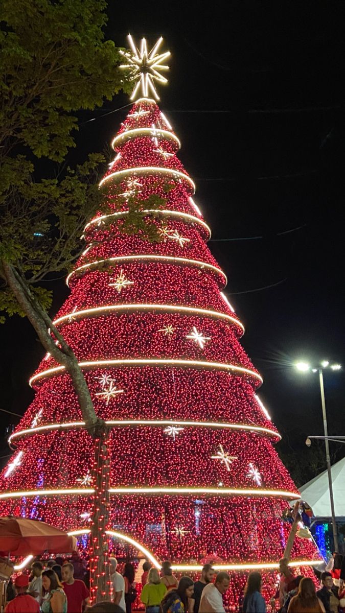 Trang trí cây thông Noel 8