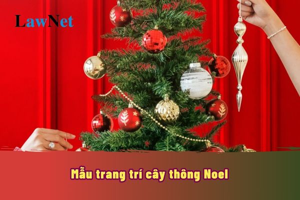 Mẫu trang trí cây thông Noel? Giáo viên hợp đồng nghỉ lễ Giáng sinh mấy ngày?