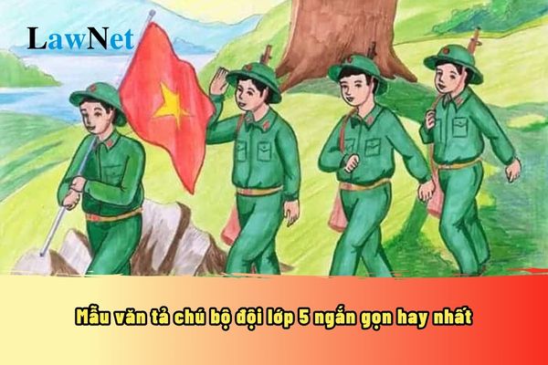 Mẫu văn tả chú bộ đội lớp 5 ngắn gọn hay nhất? Hoạt động trải nghiệm cấp tiểu học lớp 5 như thế nào?