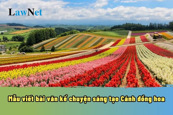 Mẫu viết bài văn kể chuyện sáng tạo Cánh đồng hoa? Xét hoàn thành chương trình tiểu học cho học sinh lớp 5 ra sao?