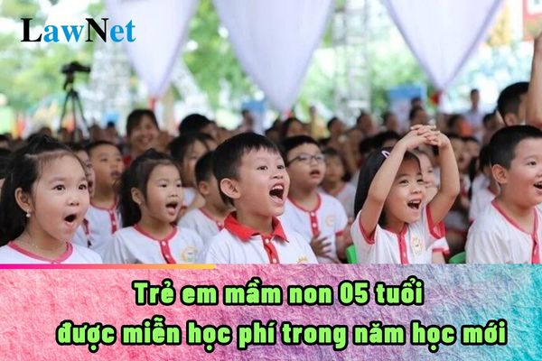 Trẻ em mầm non 05 tuổi được miễn học phí trong năm học 2024-2025?