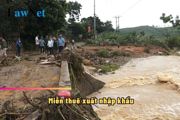 Hàng hóa xuất nhập khẩu để khắc phục hậu quả bão số 3 có được miễn thuế không?