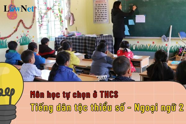 Môn học tự chọn ở THCS là gì?