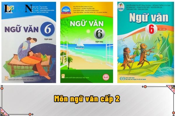 Yêu cầu cần đạt đối với môn ngữ văn cấp 2 như thế nào?