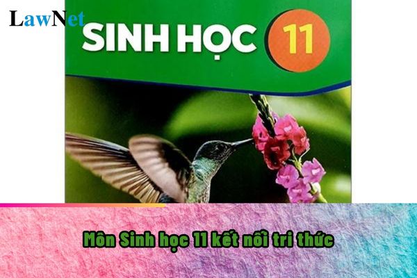 Các bài trong môn Sinh học 11 kết nối tri thức?