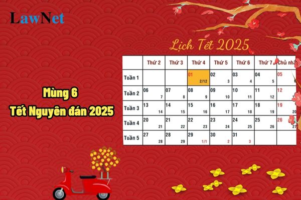 Mùng 6 Tết Nguyên đán 2025 là ngày mấy âm lịch? Giai đoạn giáo dục định hướng nghề nghiệp thời gian học tập như thế nào?