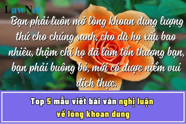 Top 5 mẫu viết bài văn nghị luận về lòng khoan dung? 4 quan điểm xây dựng chương trình môn Ngữ văn lớp 6?